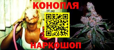 ешки Будённовск